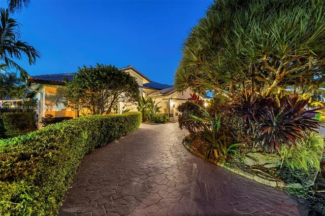 a view of a garden with a tree