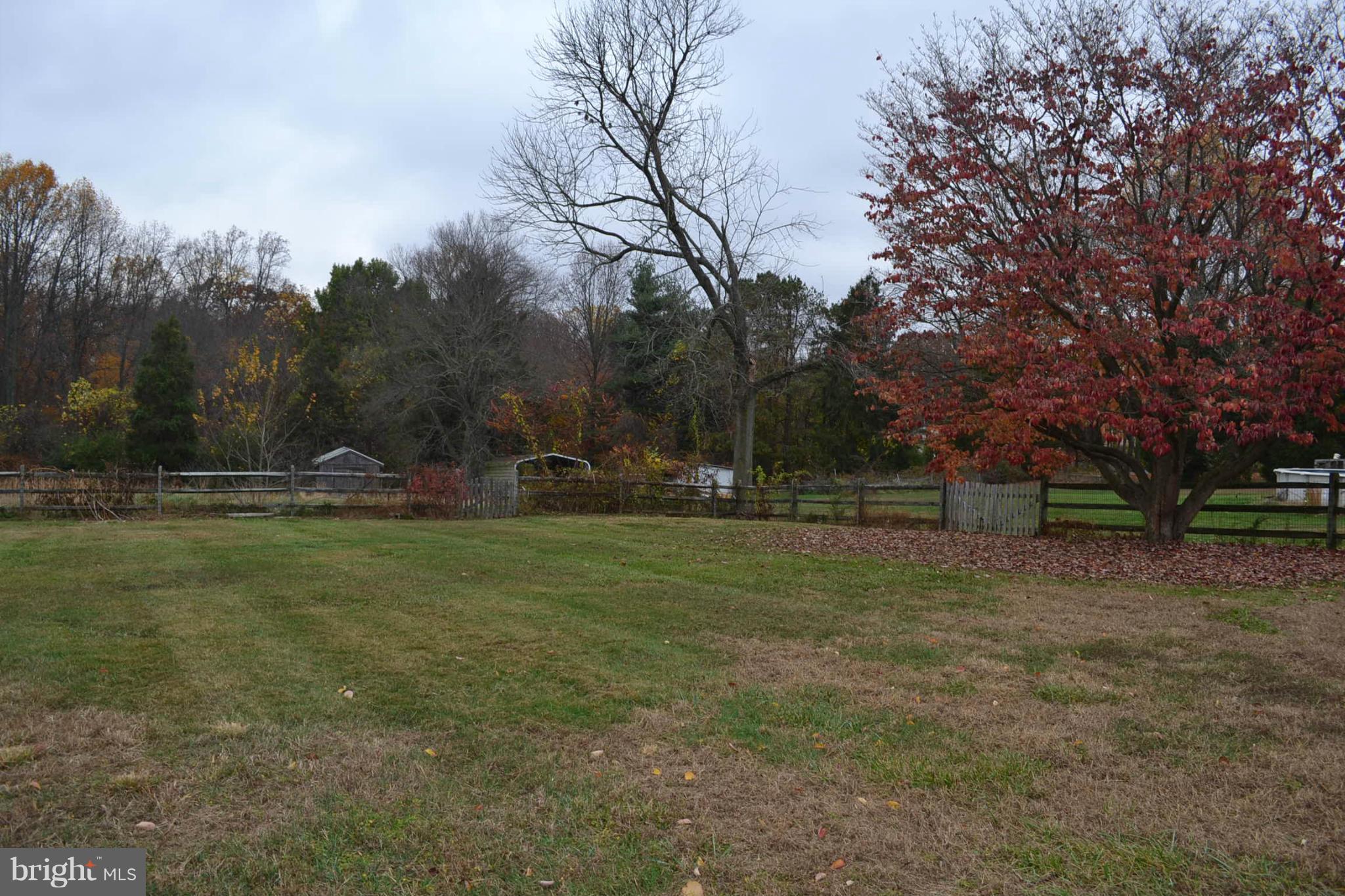 155 Brewster Bridge Road Elkton, MD 21921 - Photo 28 of 30 a view of outdoor space with deck and trees