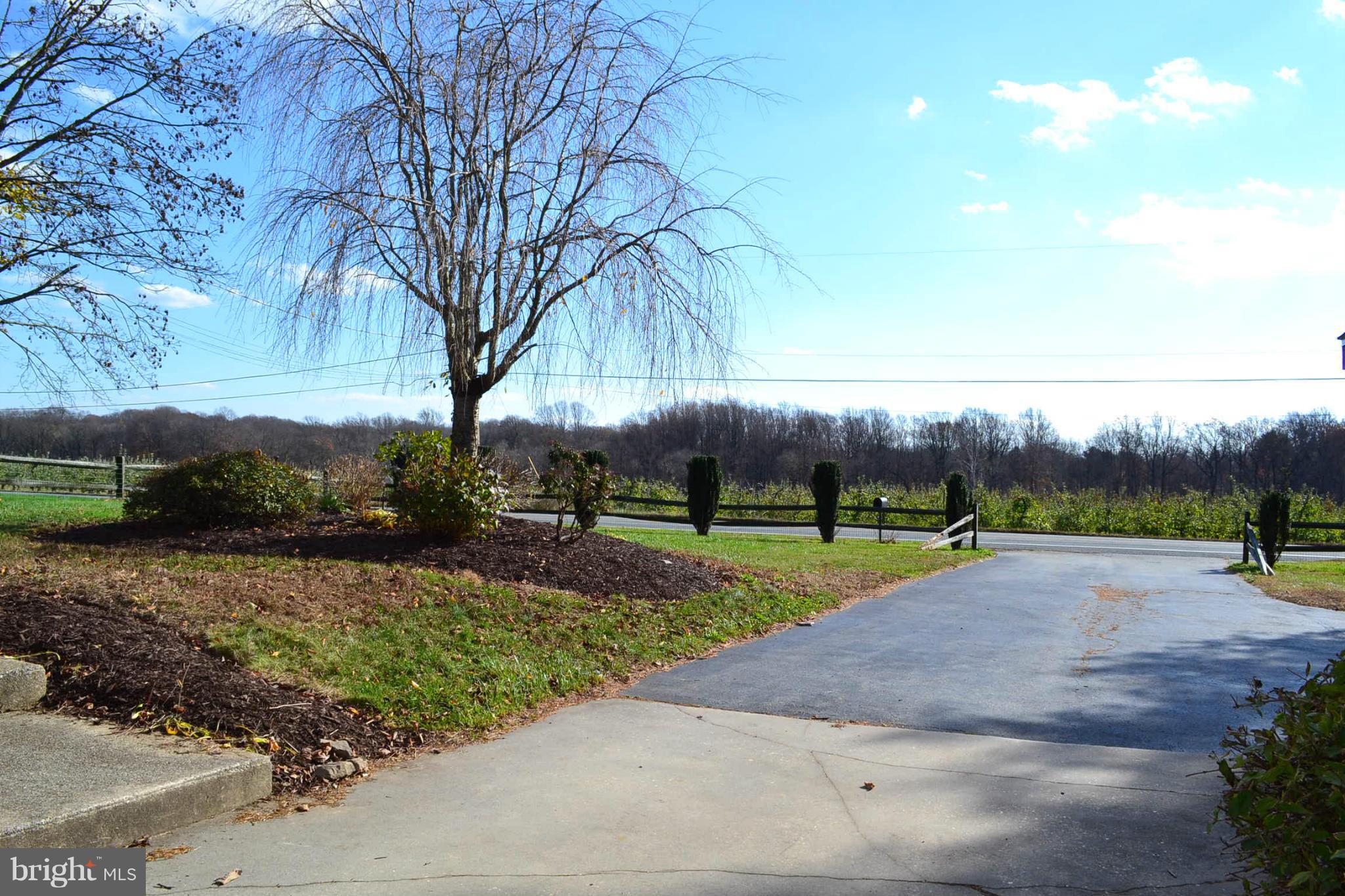 155 Brewster Bridge Road Elkton, MD 21921 - Photo 30 of 30 a view of a park