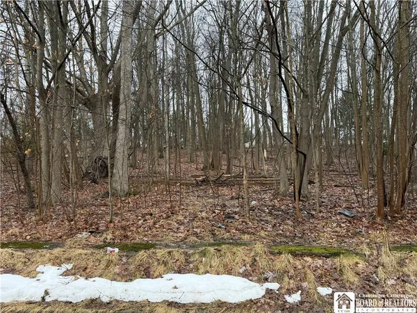 $10,000 | 0 Vega Street, Jamestown, NY 14701