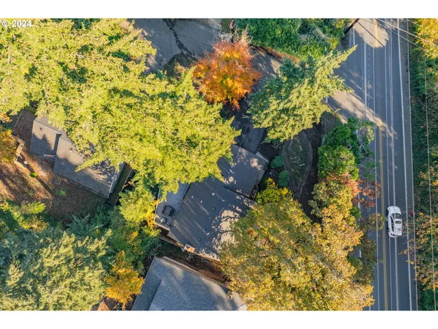 a view of a garden with plants