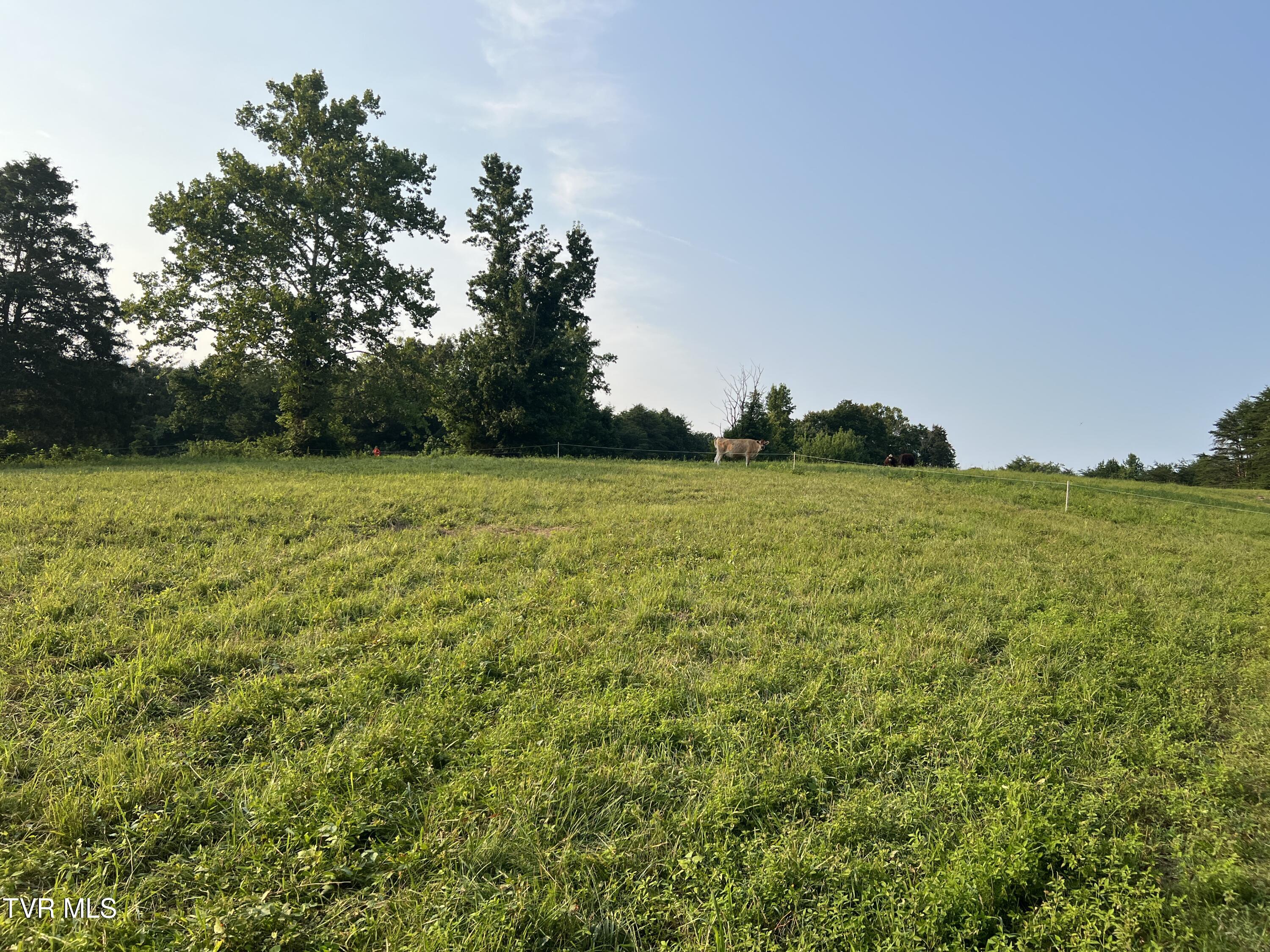367 Upper Clear Creek Road Spring City, TN 37381 - Photo 63 of 69 IMG_6395