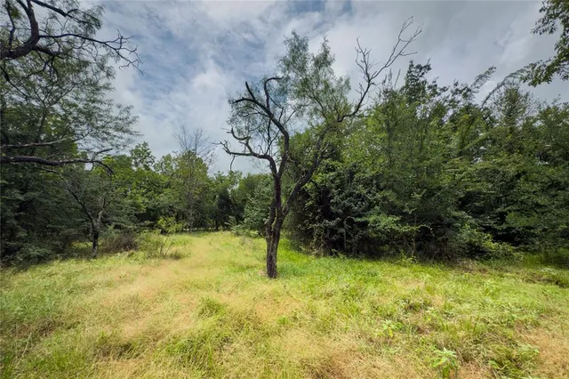 a view of outdoor space and yard