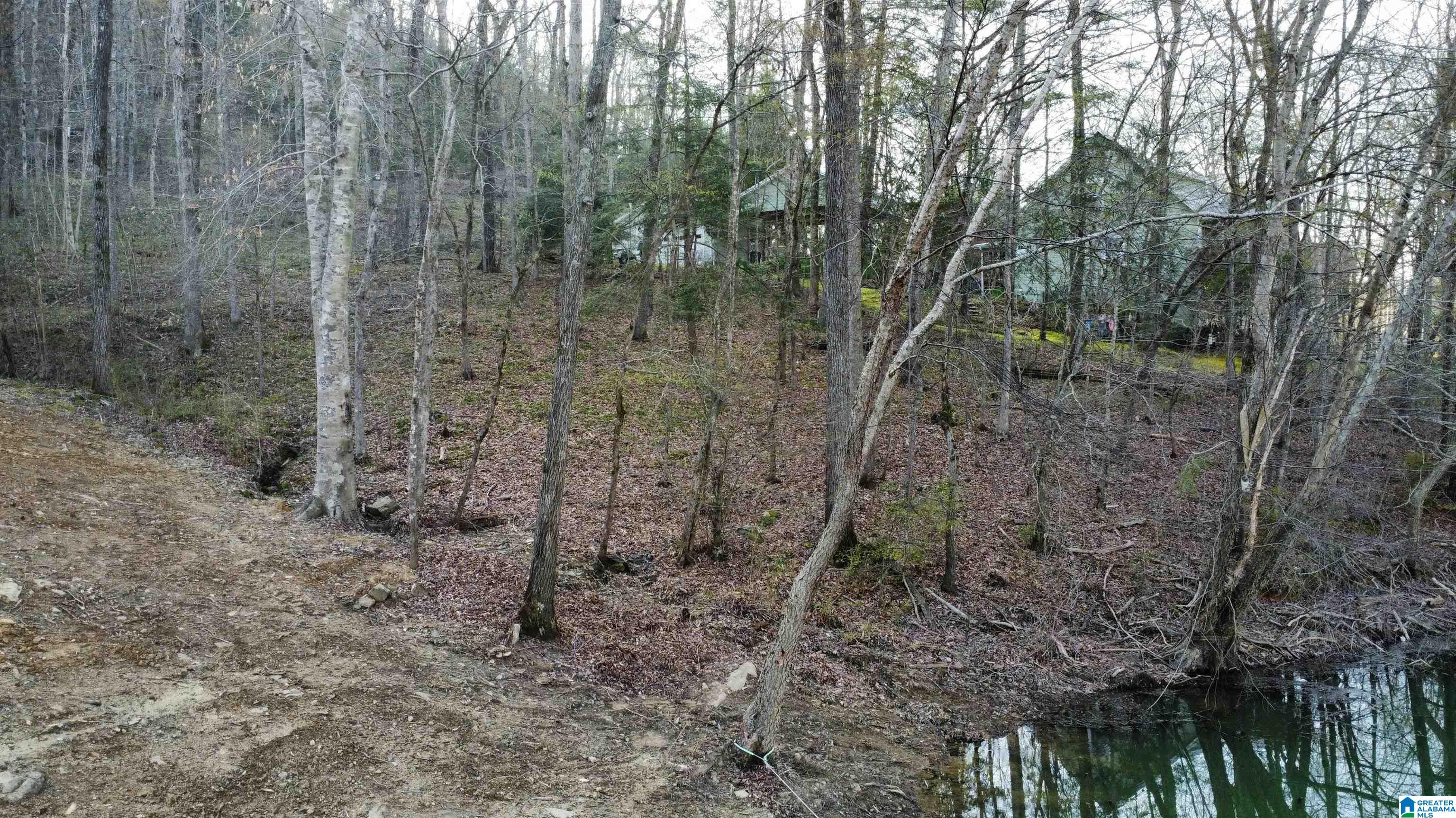 Lot 6 Legends Lane, Unit 6 Arley, AL 35541 - Photo 4 of 18