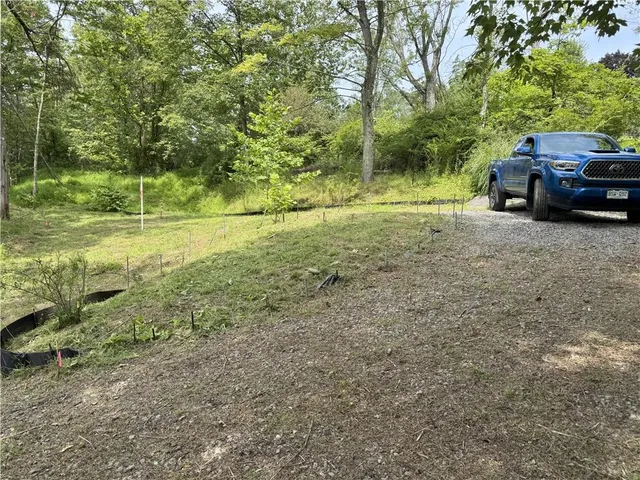 a sign board with a tree