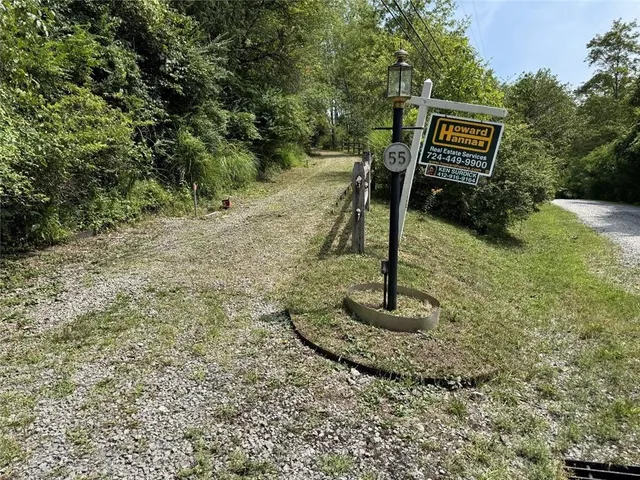 a view of a tree in a garden