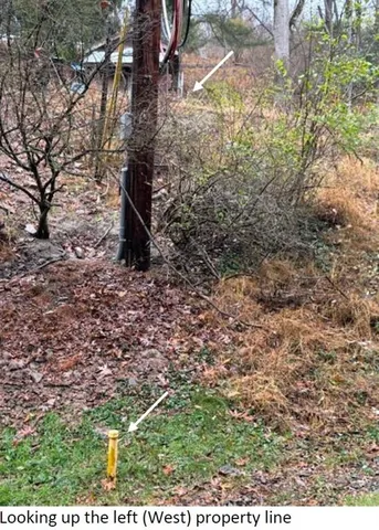 a view of a yard with pathway