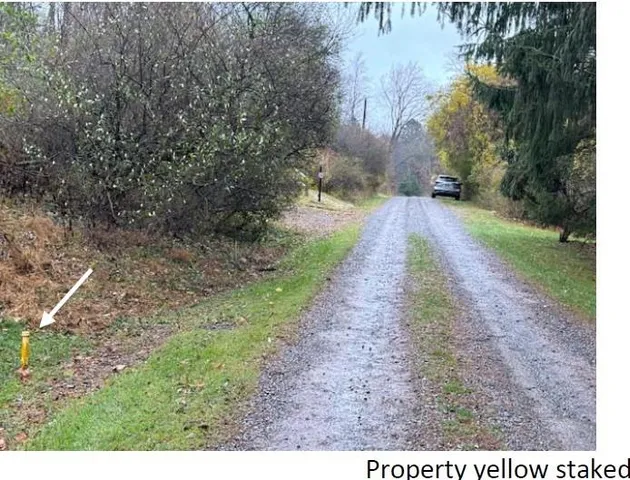 a view of a fire pit with large trees