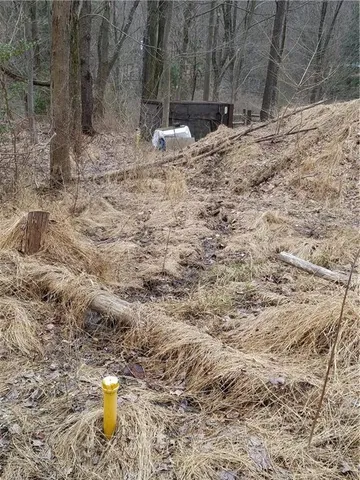 a view of outdoor space