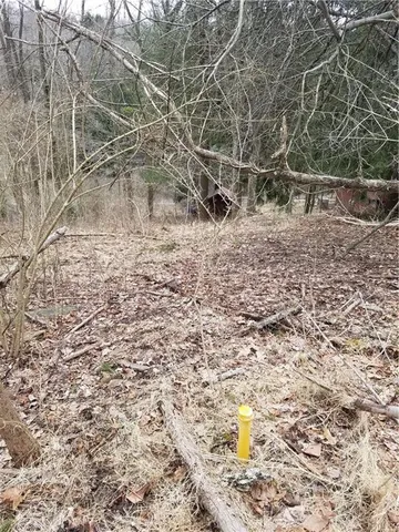 a view of outdoor space and garden