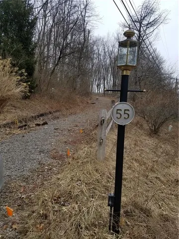 a view of a yard with a tree
