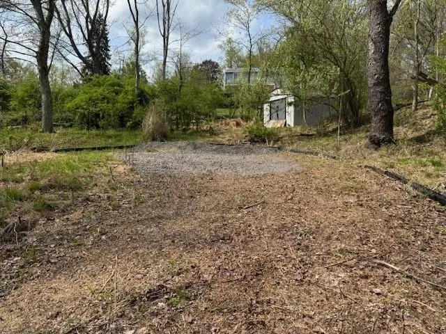 a view of a backyard with large trees