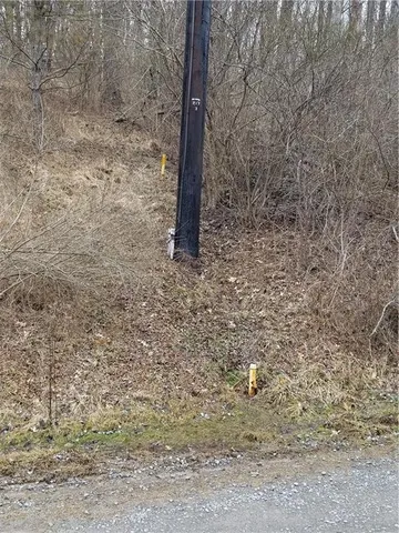 a view of a backyard of a house