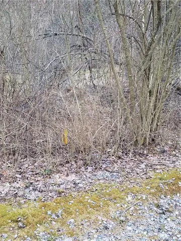 a view of a dry yard