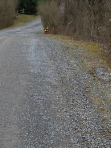 a view of a yard with plants and wooden fence