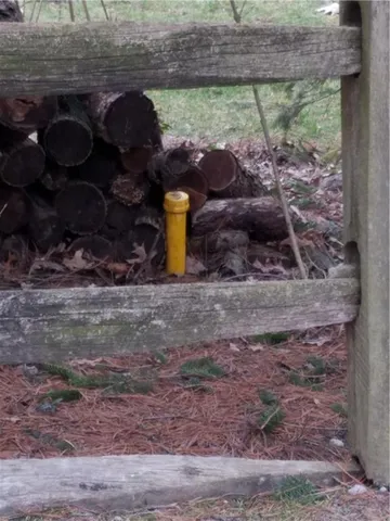 a view of a dry yard