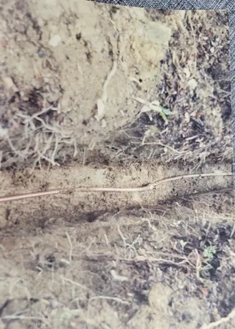 a view of a dry yard