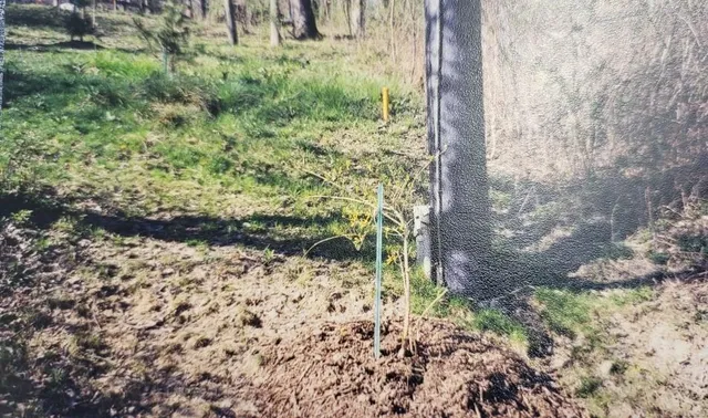 a view of a outdoor space