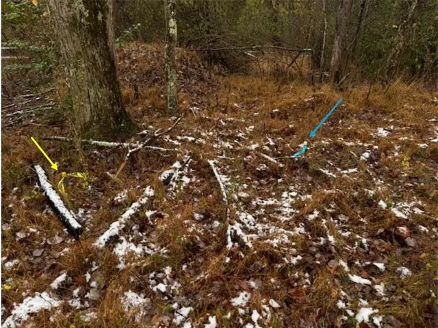 $359,990 | 55 Dietrich Road, Pittsburgh, PA 15238