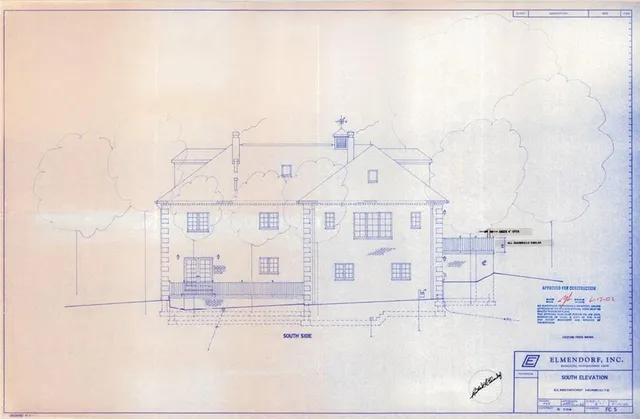 a view of a forest with trees