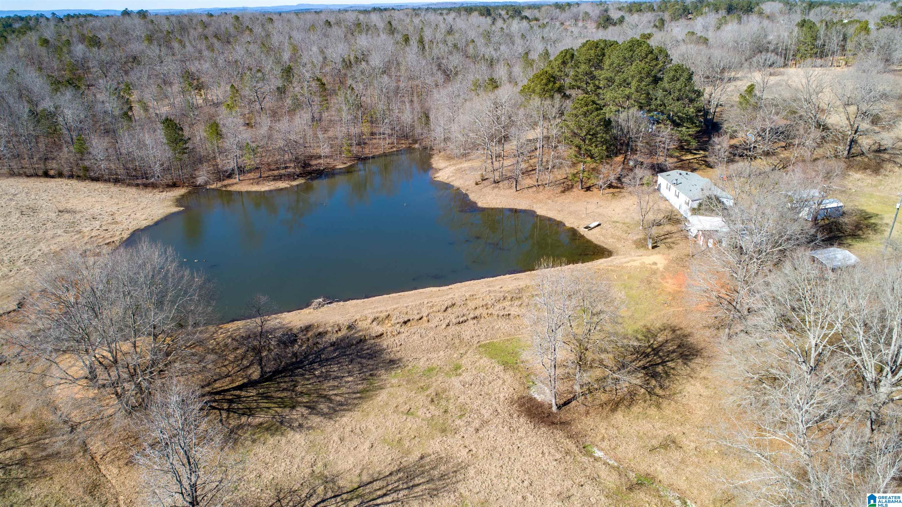 3086 Feddisburg Road, Unit ACREAGE SECTIONS 1 & 2 Alpine, AL 35014 - Photo 27 of 34