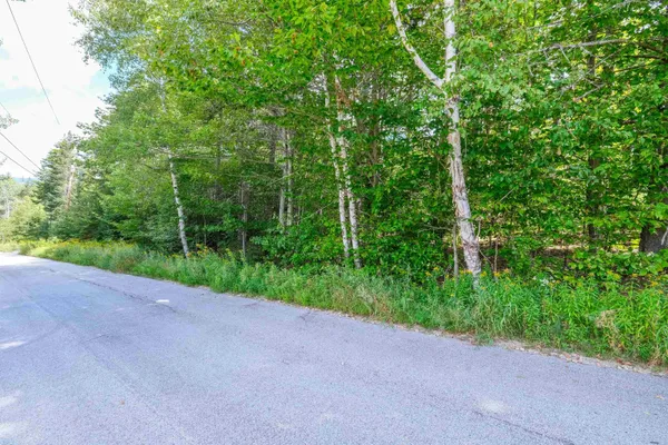 $110,000 | 0 Evergreen Acres, Ludlow, VT 05149