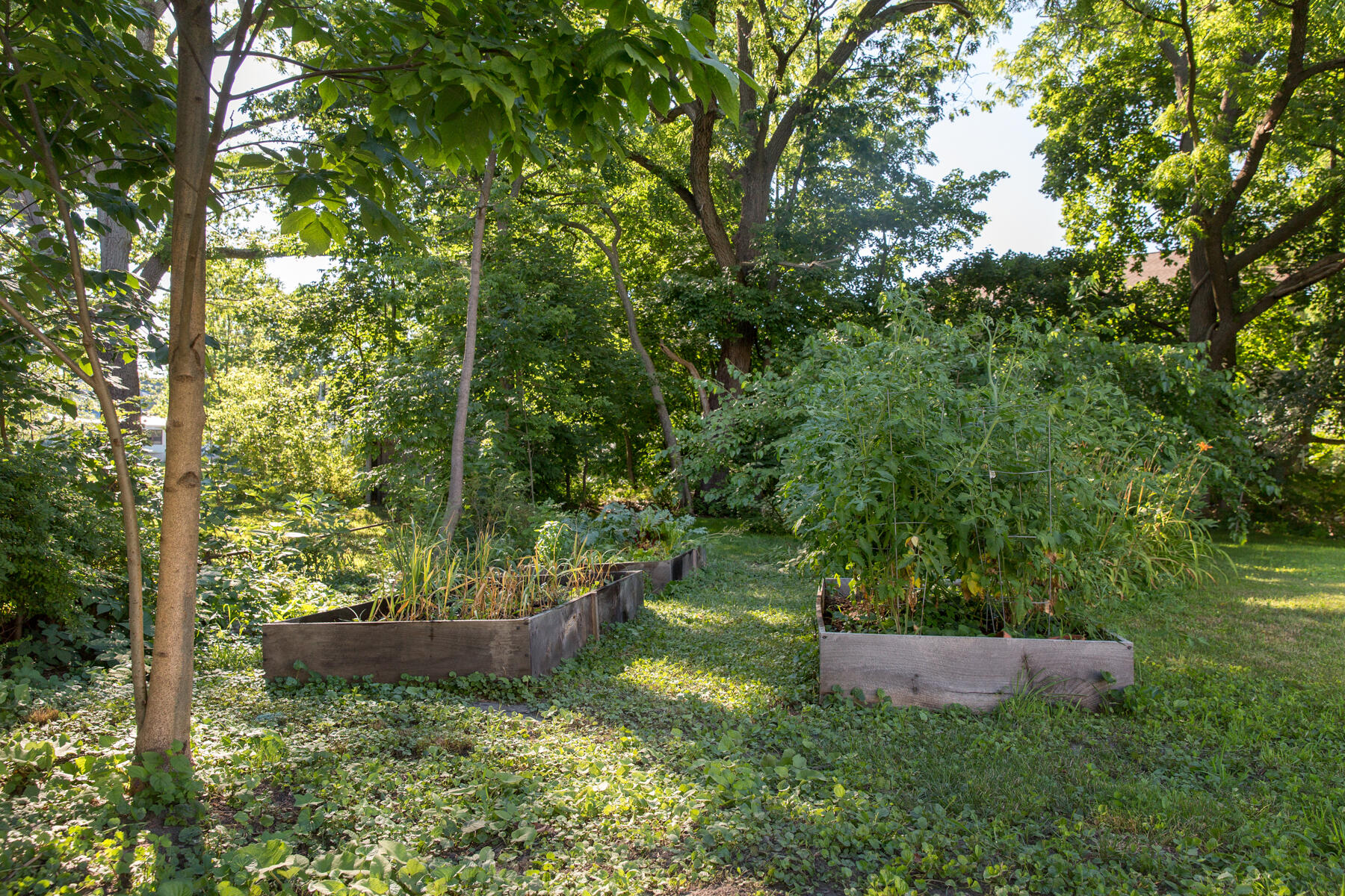 62 Ocean Avenue Portland, ME 04103 - Photo 51 of 71 62OceanAve-8