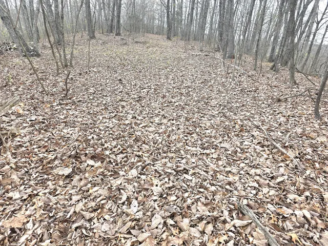 $55,000 | 0 Windy Cut Street, Dowelltown, TN 37059