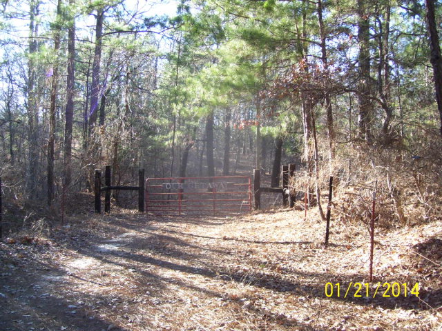 404 Anderson County Road Palestine, TX 75803 - Photo 1 of 1