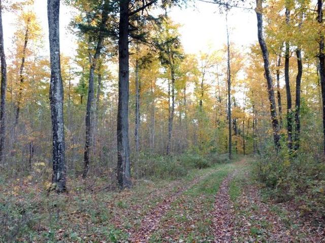 On Power Line Road Phillips, WI 54555 - Photo 15 of 20 Gallery Image 15