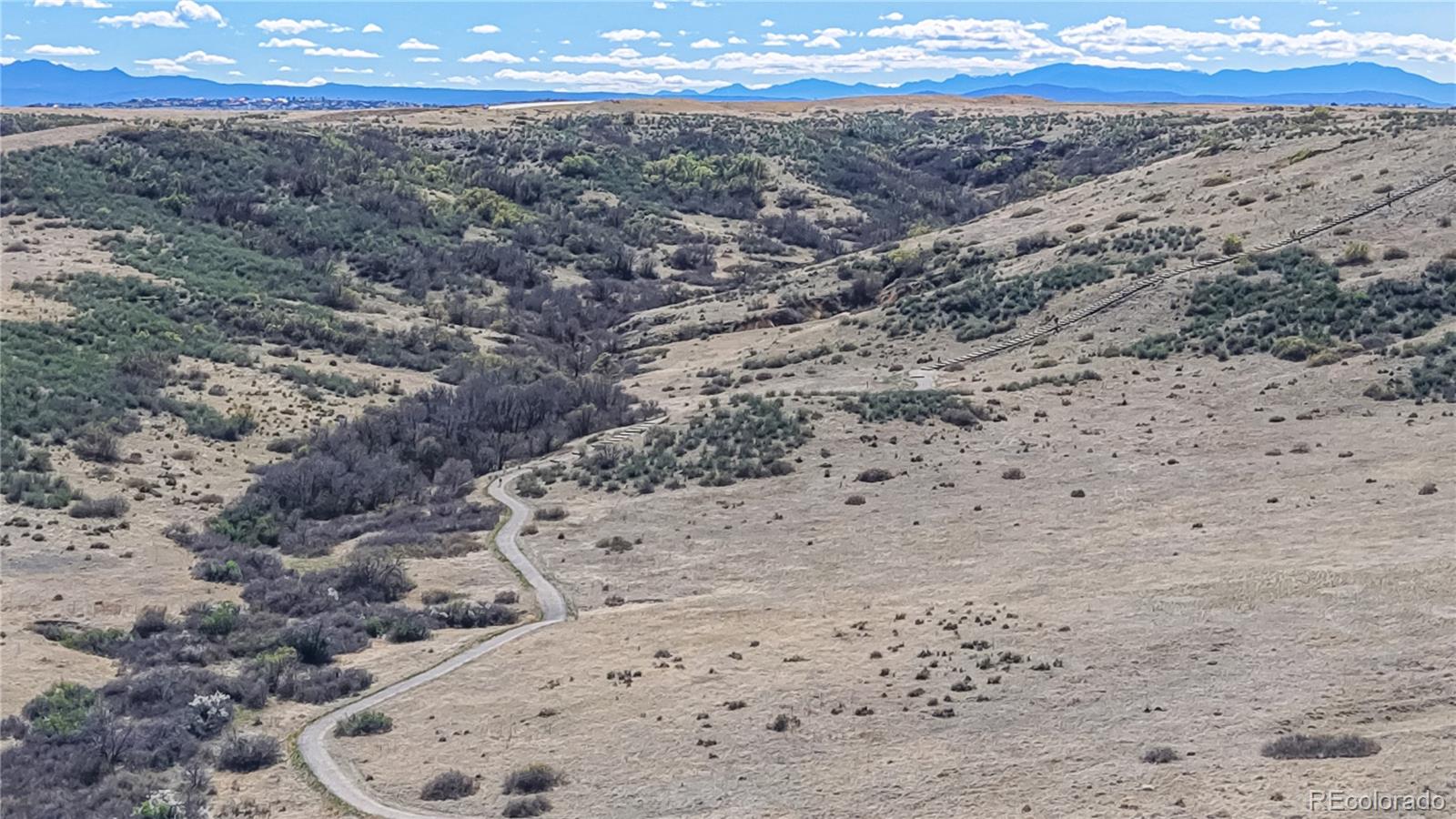 13950 Box Turtle Loop Parker, CO 80134 - Photo 43 of 48 a view of a dry yard with trees and mountains in the background