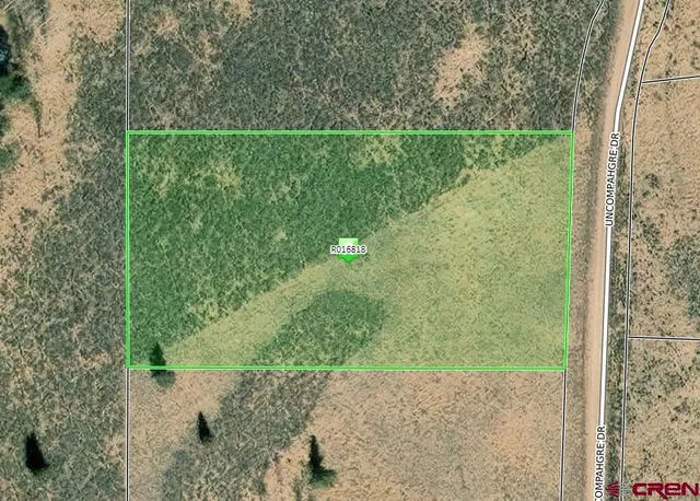 a view of a small yard