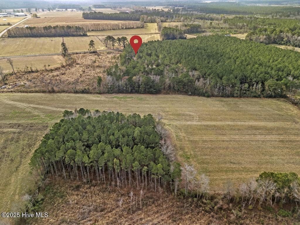 1 Piney Woods Road Willard, NC 28478 - Photo 13 of 20 DJI_20251203123413_0044_D 2copy