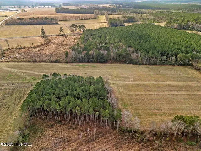 $240,000 | 1 Piney Woods Road, Willard, NC 28478