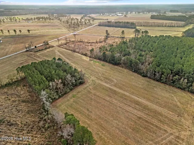 $240,000 | 1 Piney Woods Road, Willard, NC 28478