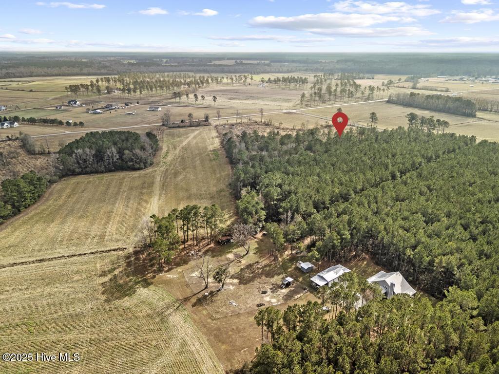 1 Piney Woods Road Willard, NC 28478 - Photo 17 of 20 DJI_20251203123516_0053_D 2copy