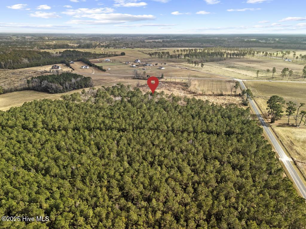 1 Piney Woods Road Willard, NC 28478 - Photo 18 of 20 DJI_20251203123554_0058_D 2copy