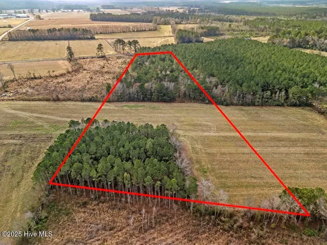 $240,000 | 1 Piney Woods Road, Willard, NC 28478