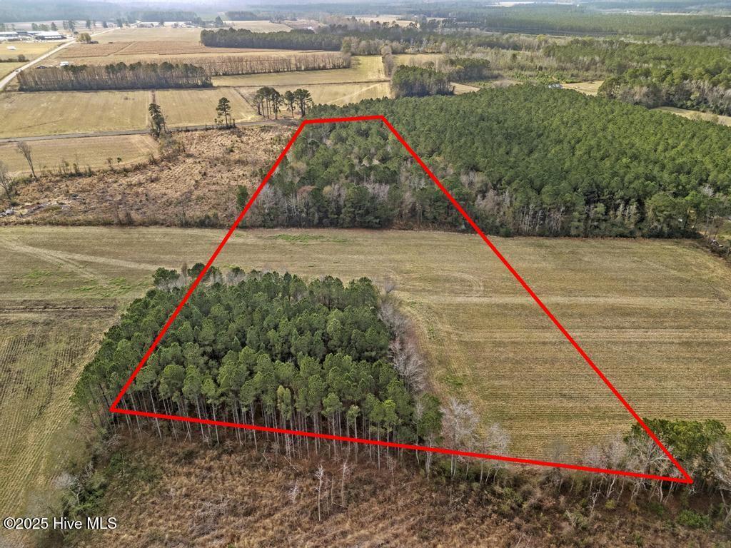 1 Piney Woods Road Willard, NC 28478 - Photo 3 of 20 DJI_20251203123413_0044_D copy