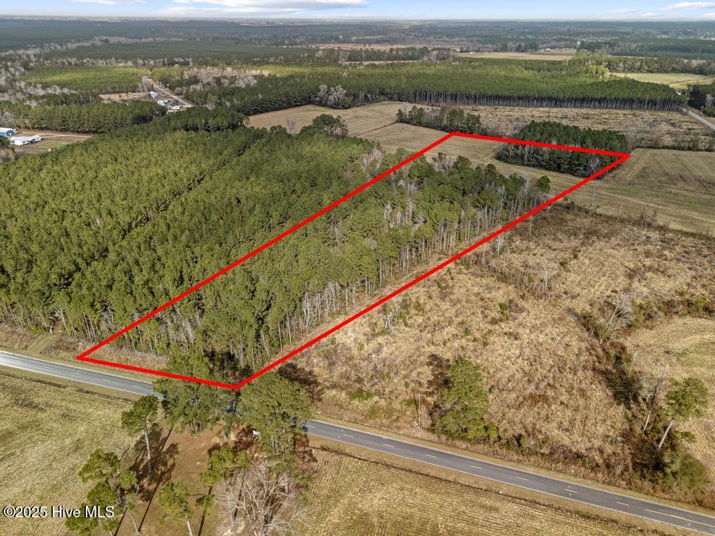 1 Piney Woods Road Willard, NC 28478 - Photo 4 of 20 DJI_20251203123119_0018_D copy