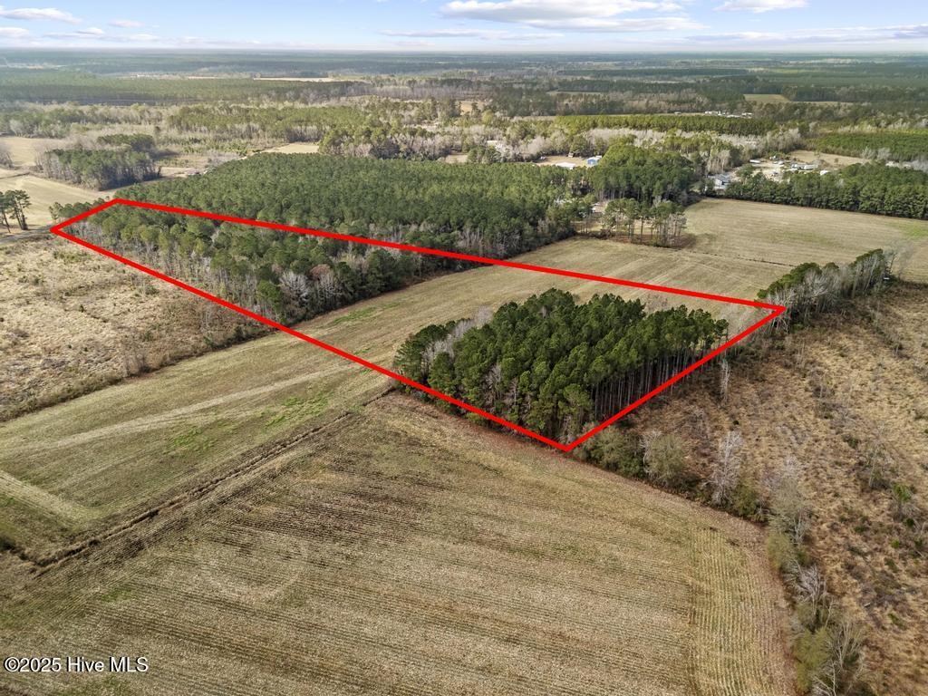 1 Piney Woods Road Willard, NC 28478 - Photo 5 of 20 DJI_20251203123313_0038_D copy