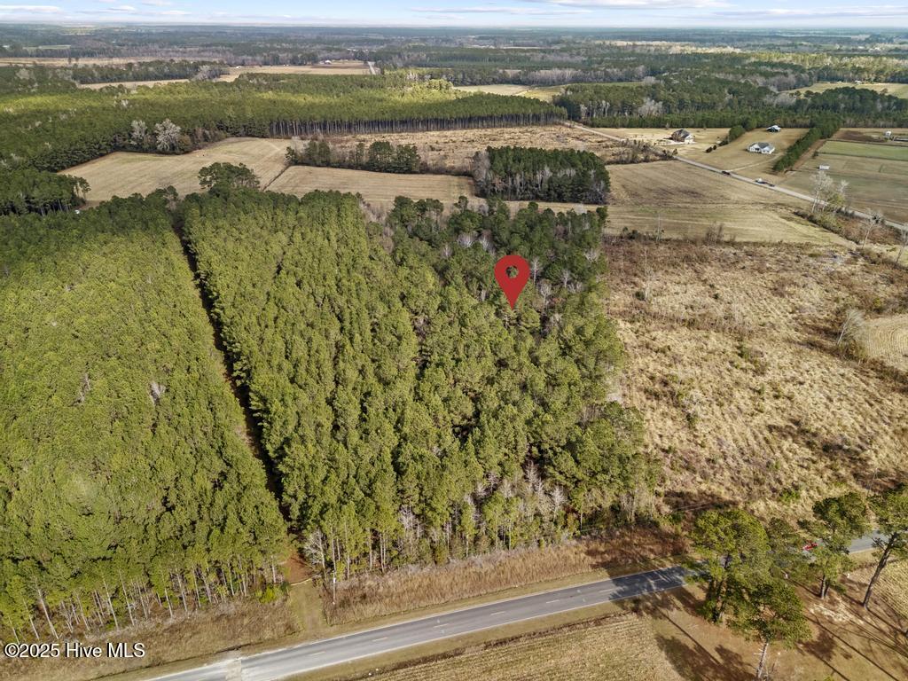 1 Piney Woods Road Willard, NC 28478 - Photo 6 of 20 DJI_20251203123049_0013_D 2copy