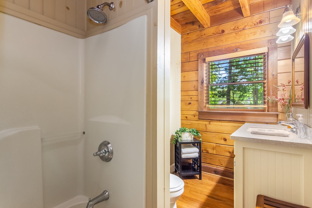 22 Waterloon Trail Morganton, GA 30560 - Photo 54 of 71 a bathroom with a sink mirror toilet and next to a window