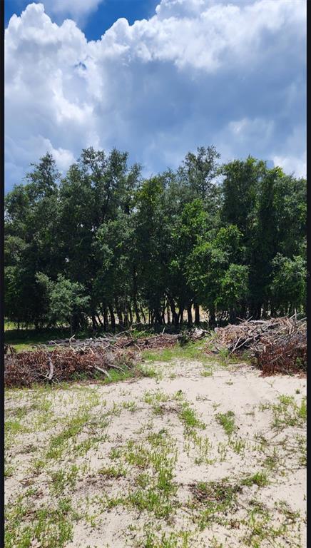 562 Libby Road Babson Park, FL 33827 - Photo 39 of 42