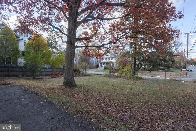 a view of a yard with a tree