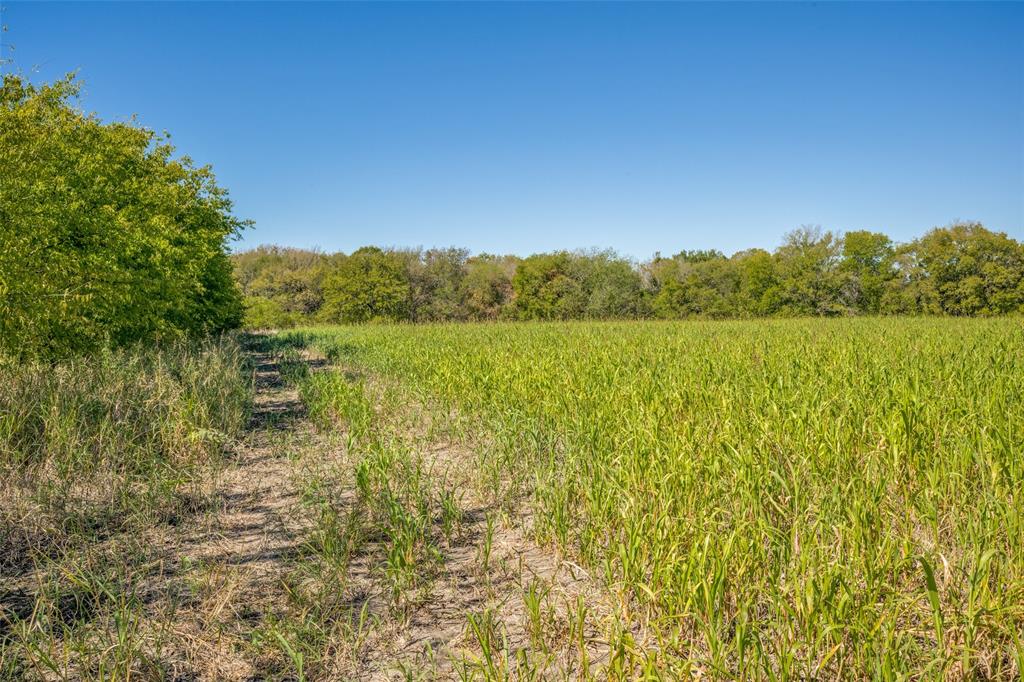 0 View Road Sanger, TX 76266 - Photo 7 of 10 a view of lake and mountain view