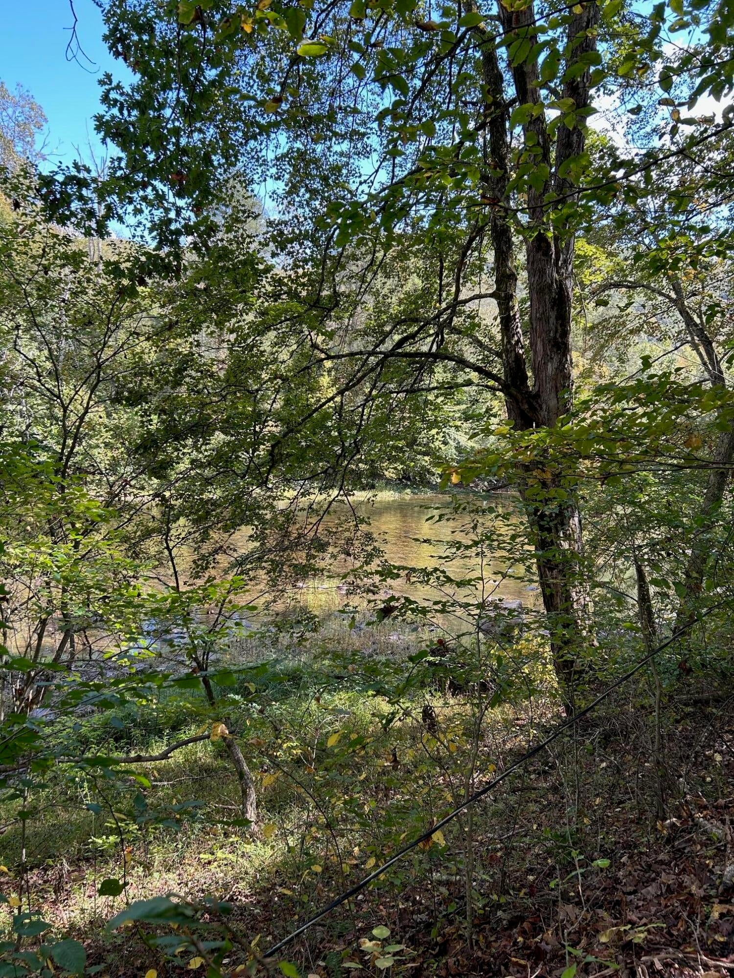 Tbd Keister Road Frankford, WV 24938 - Photo 8 of 40 Gallery Image 8
