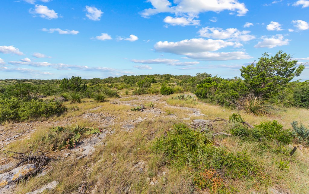 27 Sd 45682 Rocksprings, TX 78880 - Photo 13 of 15
