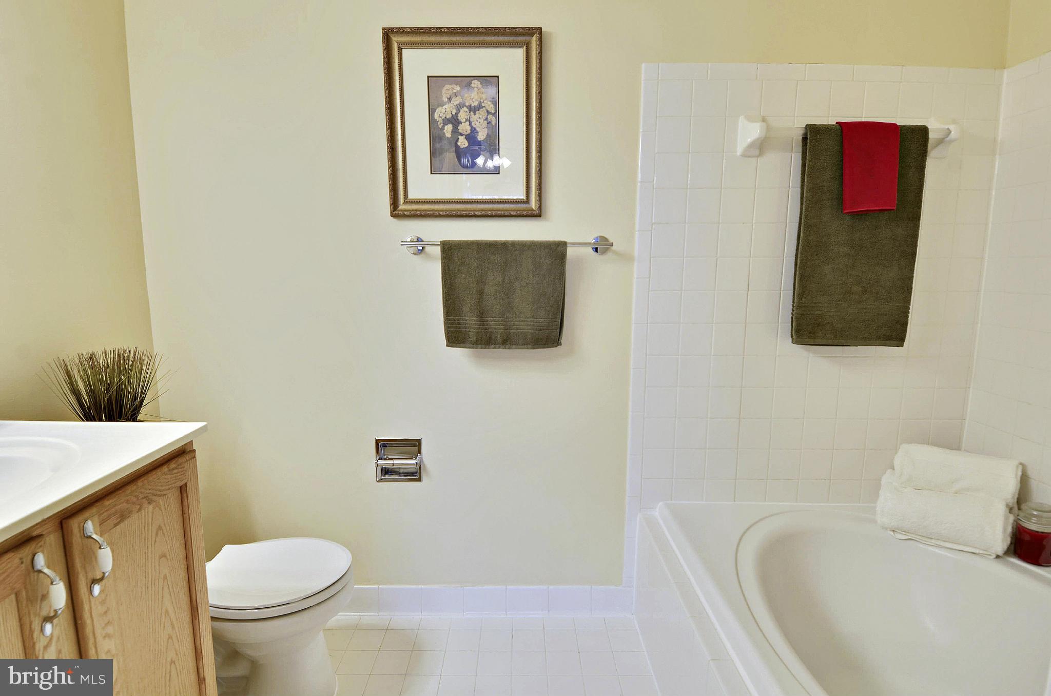 12713 Found Stone Road, Unit 304 Germantown, MD 20876 - Photo 13 of 20 Bath (Master)