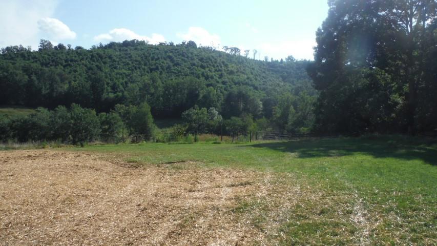 1835 Mead Valley Road Moneta, VA 24121 - Photo 19 of 30 DSCF4028 dated